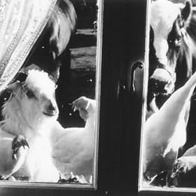 Michael Edward-Stevens